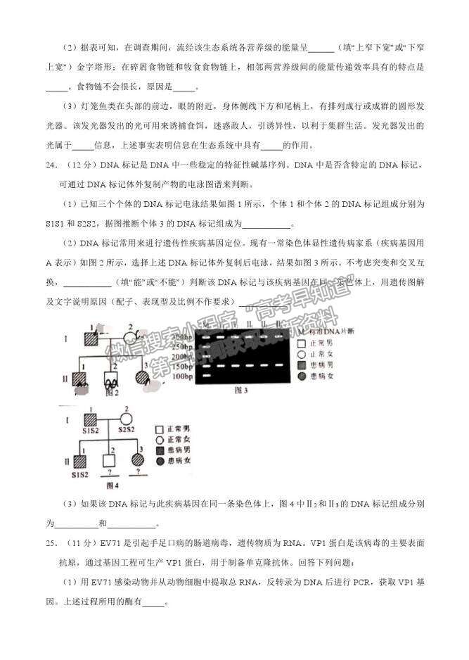 山東?。ㄐ赂呖迹?021屆高三第二次模擬考試生物試卷（四）及參考答案