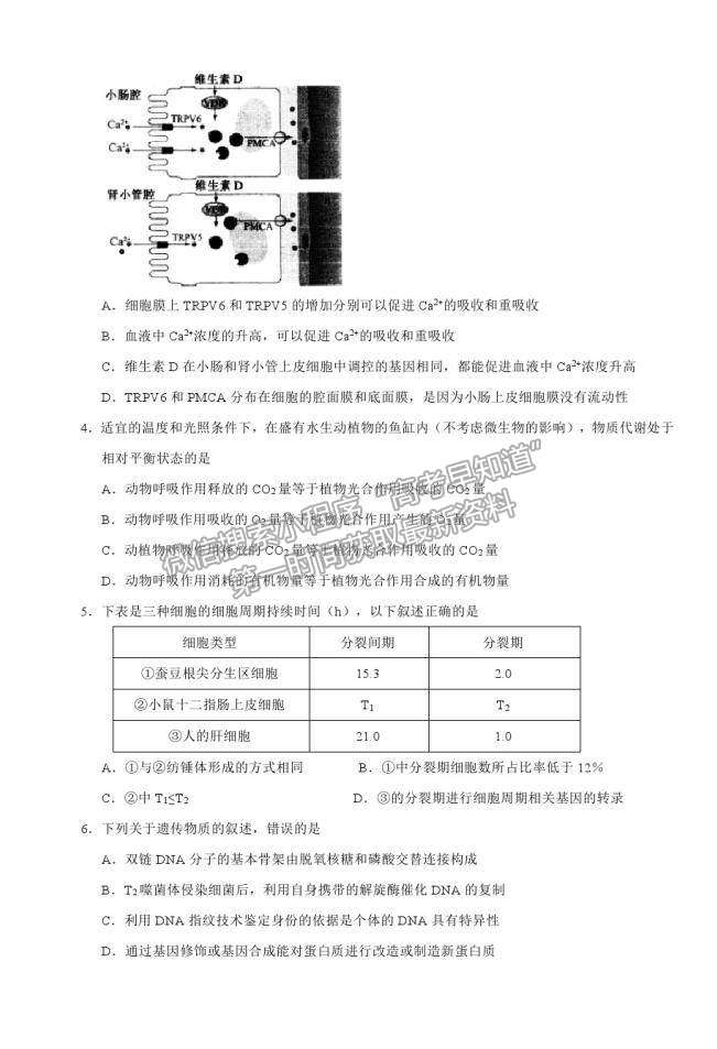 山東省（新高考）2021屆高三第二次模擬考試生物試卷（四）及參考答案