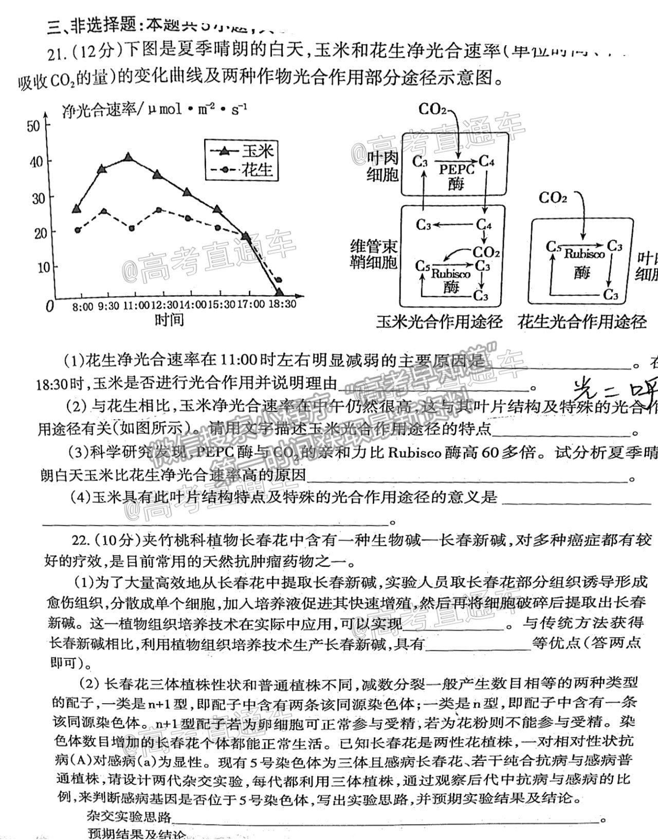 2021泰安二模生物試題及參考答案