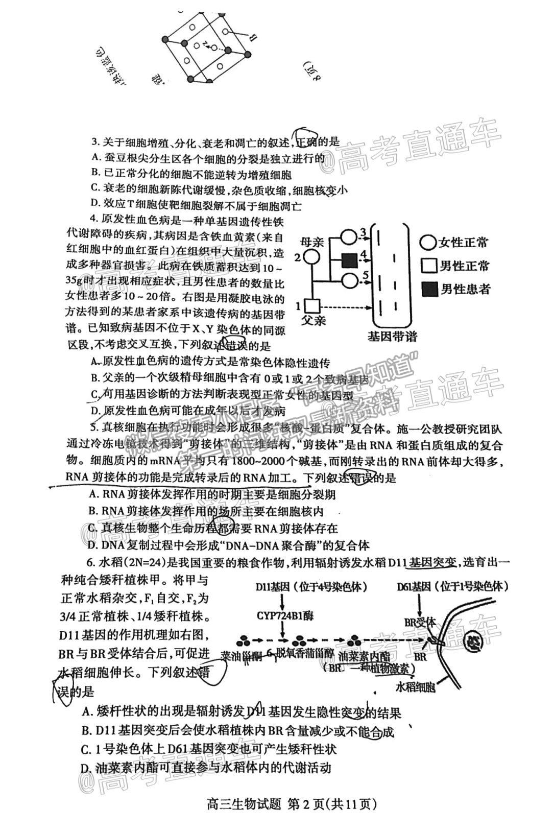 2021泰安二模生物試題及參考答案