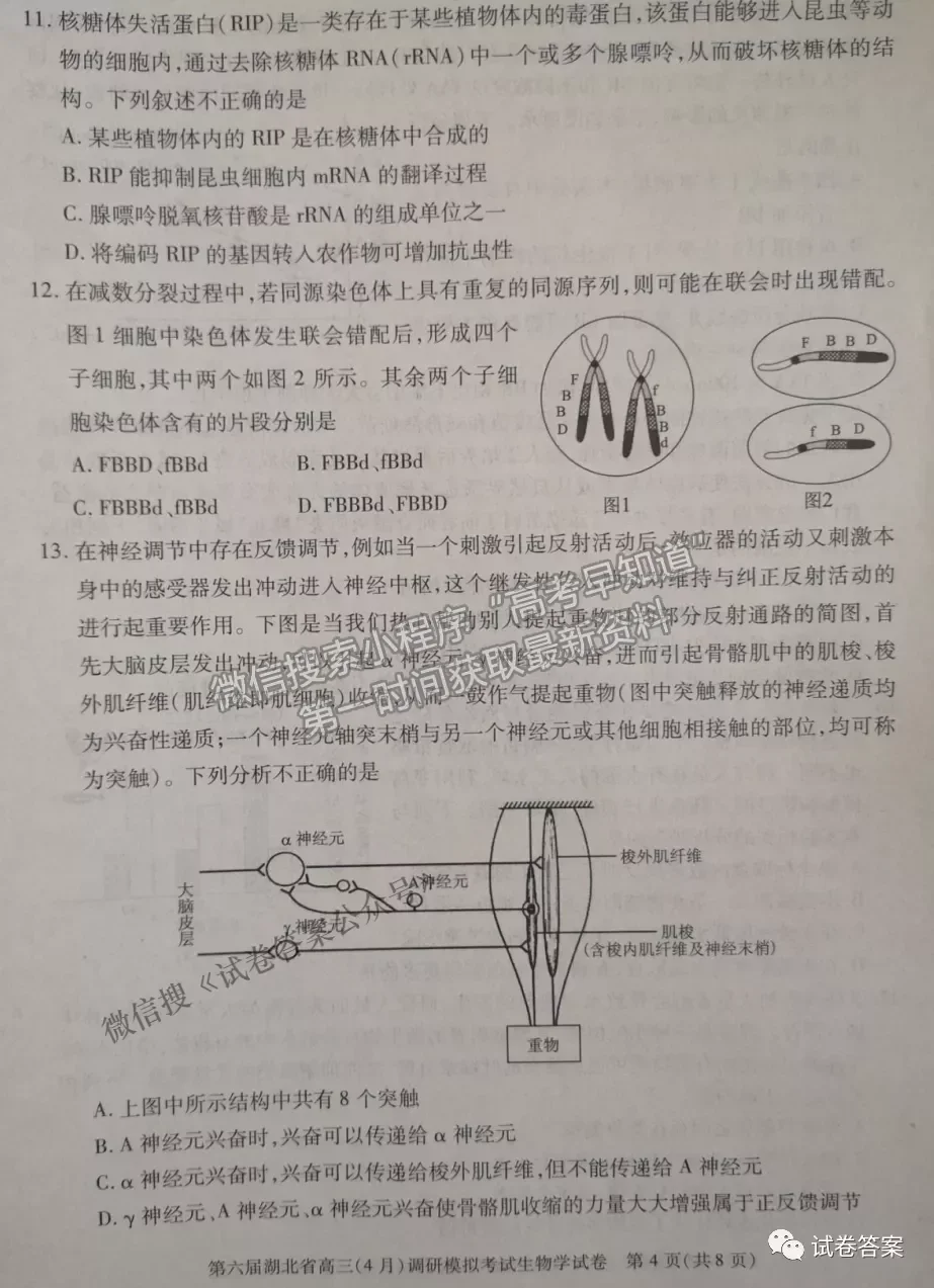 2021湖北省第三次模擬（湖北三模）考試生物試卷及答案