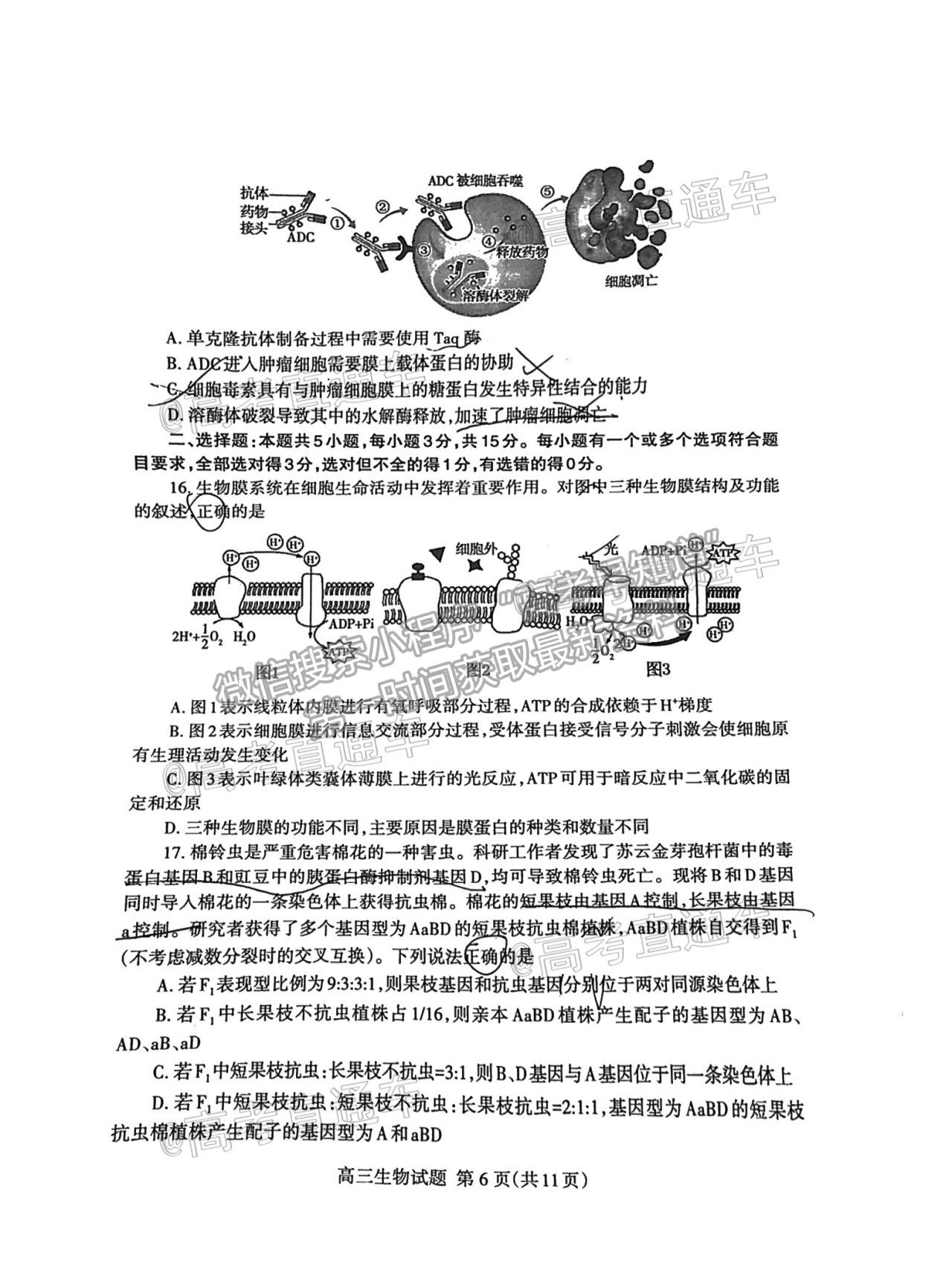 2021泰安二模生物試題及參考答案