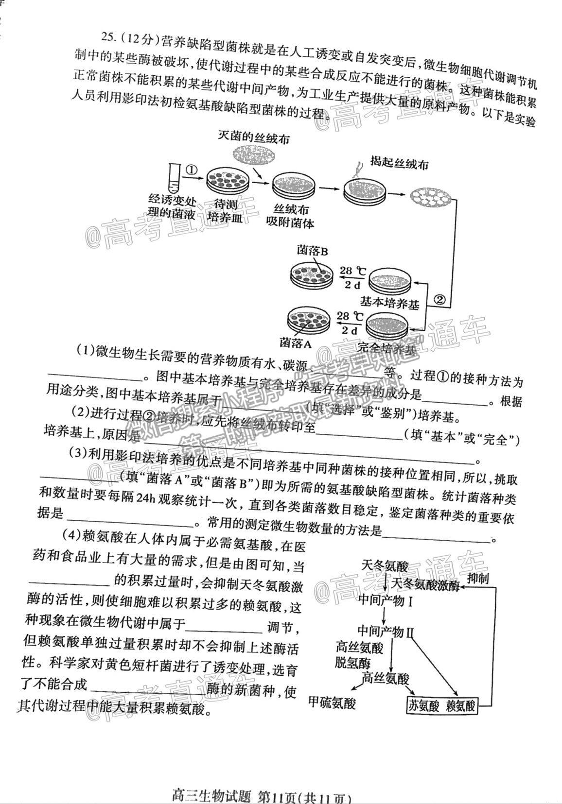 2021泰安二模生物試題及參考答案