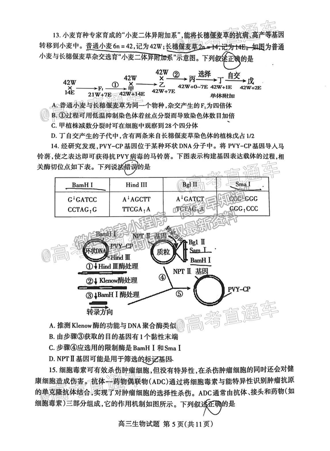 2021泰安二模生物試題及參考答案