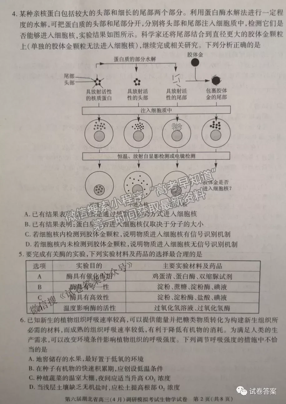 2021湖北省第三次模擬（湖北三模）考試生物試卷及答案