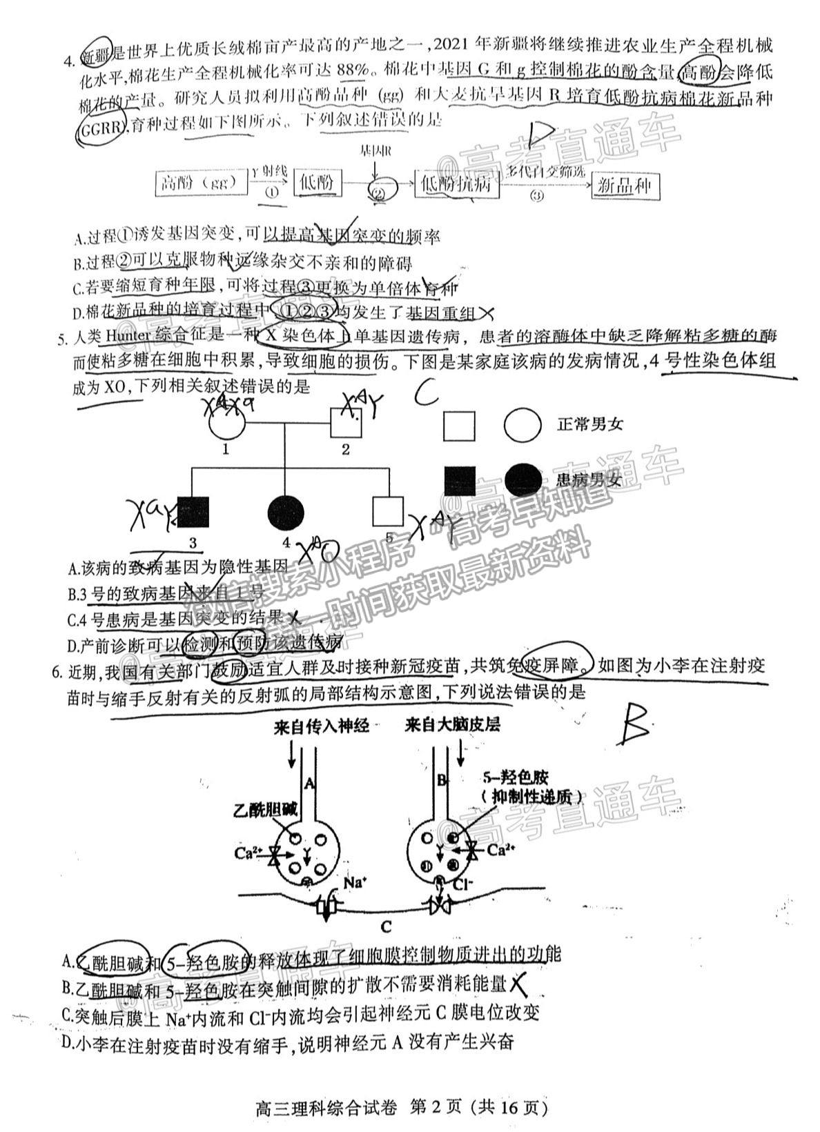 2021淮北二模理綜試題及參考答案