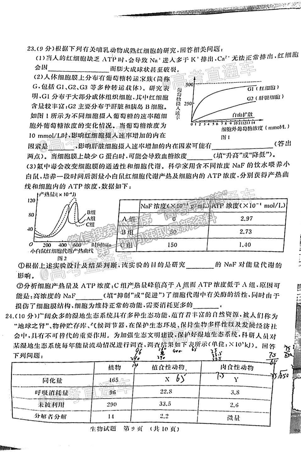 2021濟(jì)南十一校高三4月聯(lián)考生物試題及參考答案