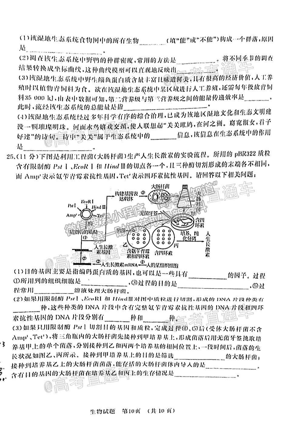 2021濟(jì)南十一校高三4月聯(lián)考生物試題及參考答案