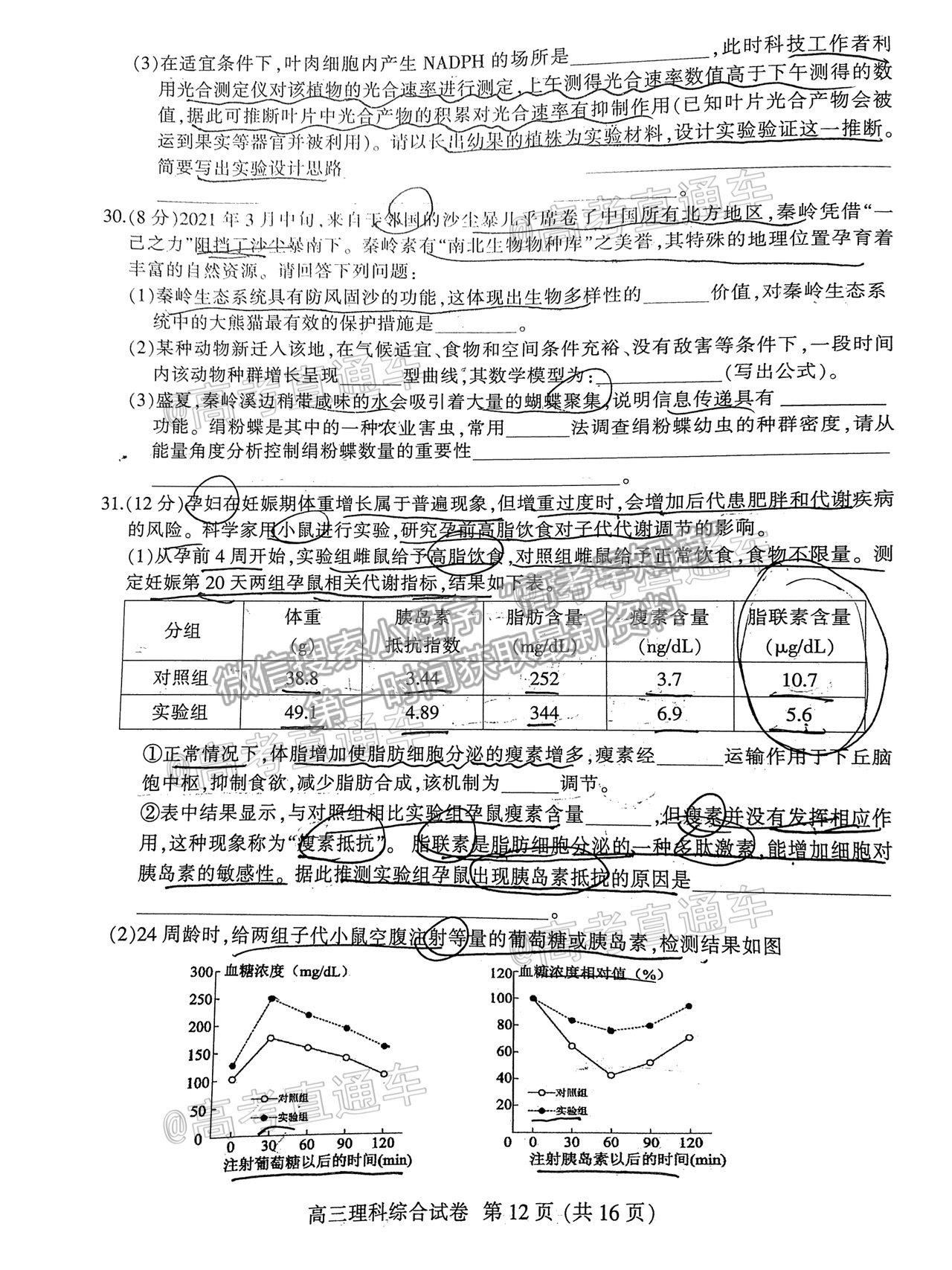 2021淮北二模理綜試題及參考答案