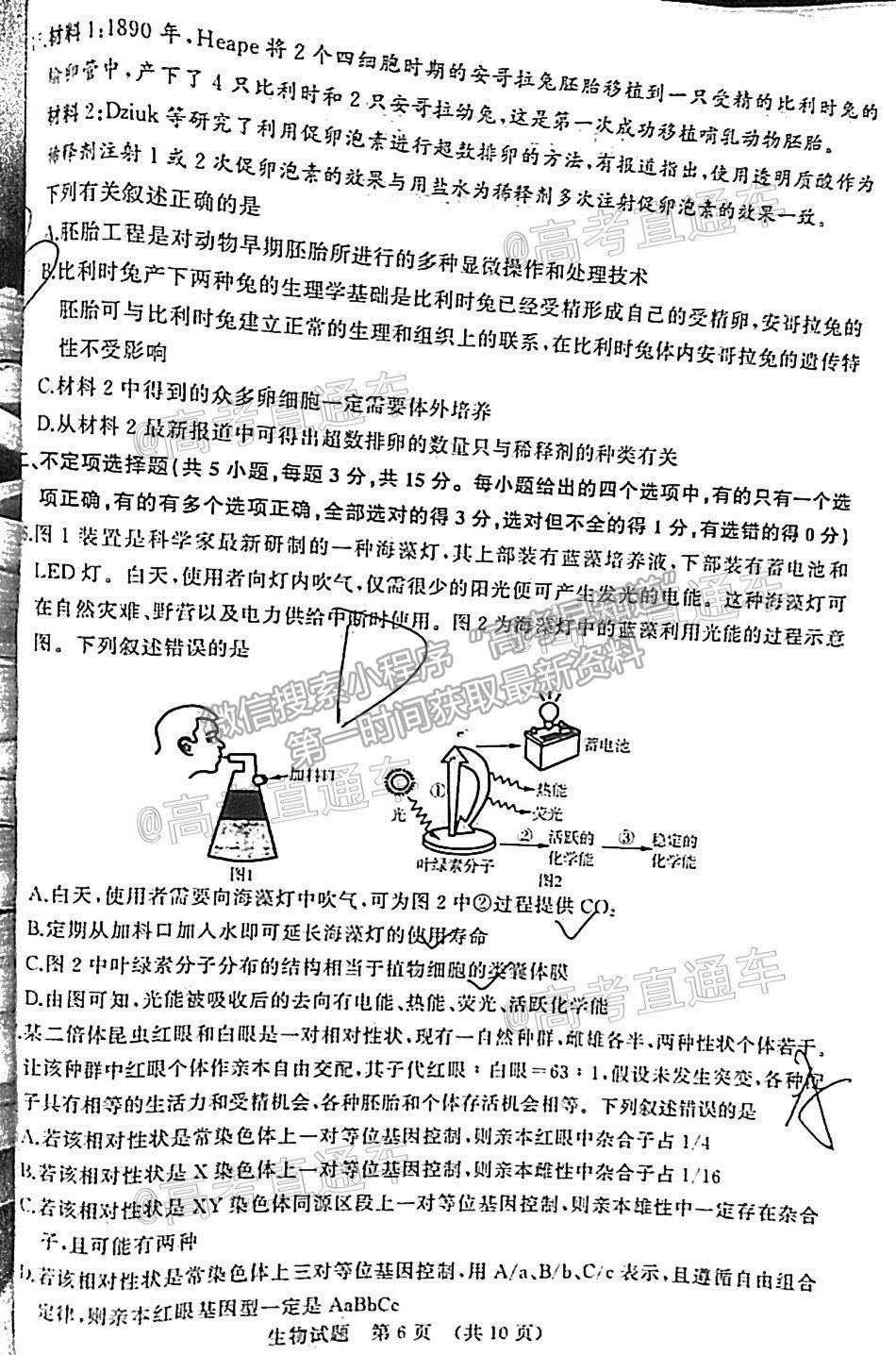 2021濟(jì)南十一校高三4月聯(lián)考生物試題及參考答案