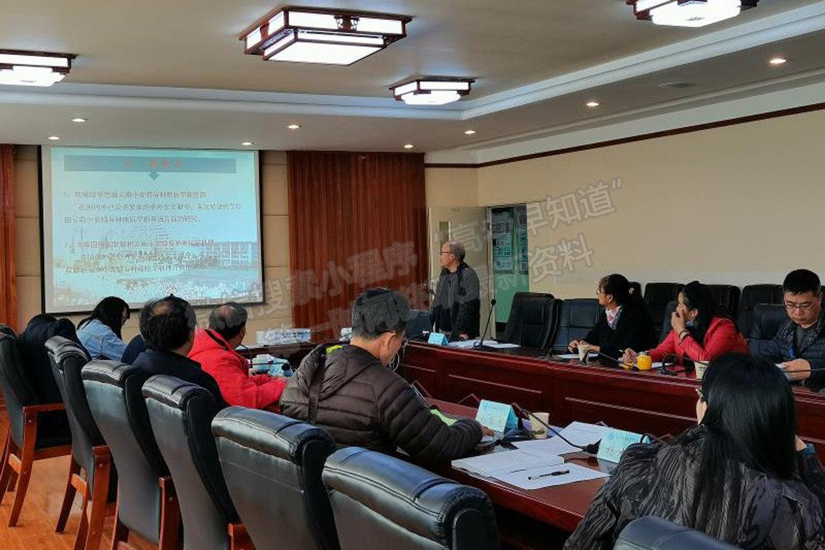 云南农业大学“抗旱小麦新品种选育及应用”通过成果评价