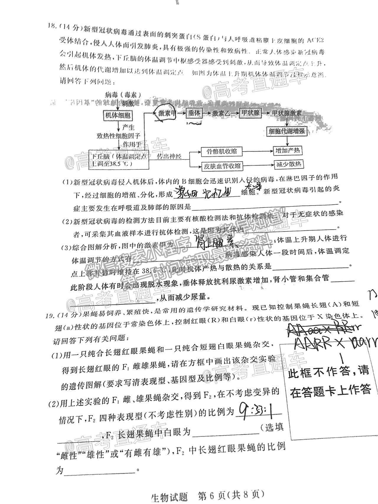 2021湛江二模生物試題及參考答案