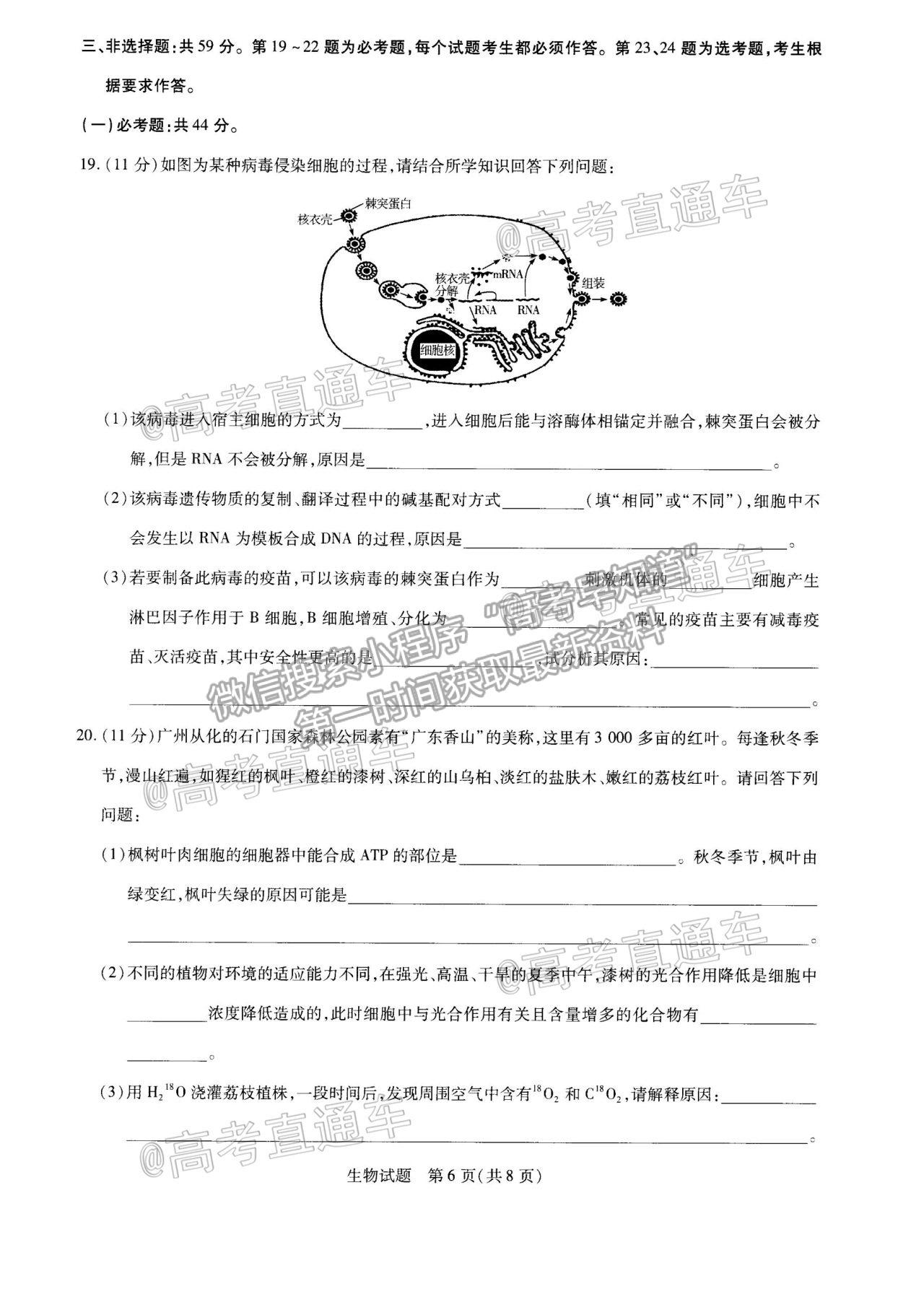 2021邯鄲二模生物試題及參考答案