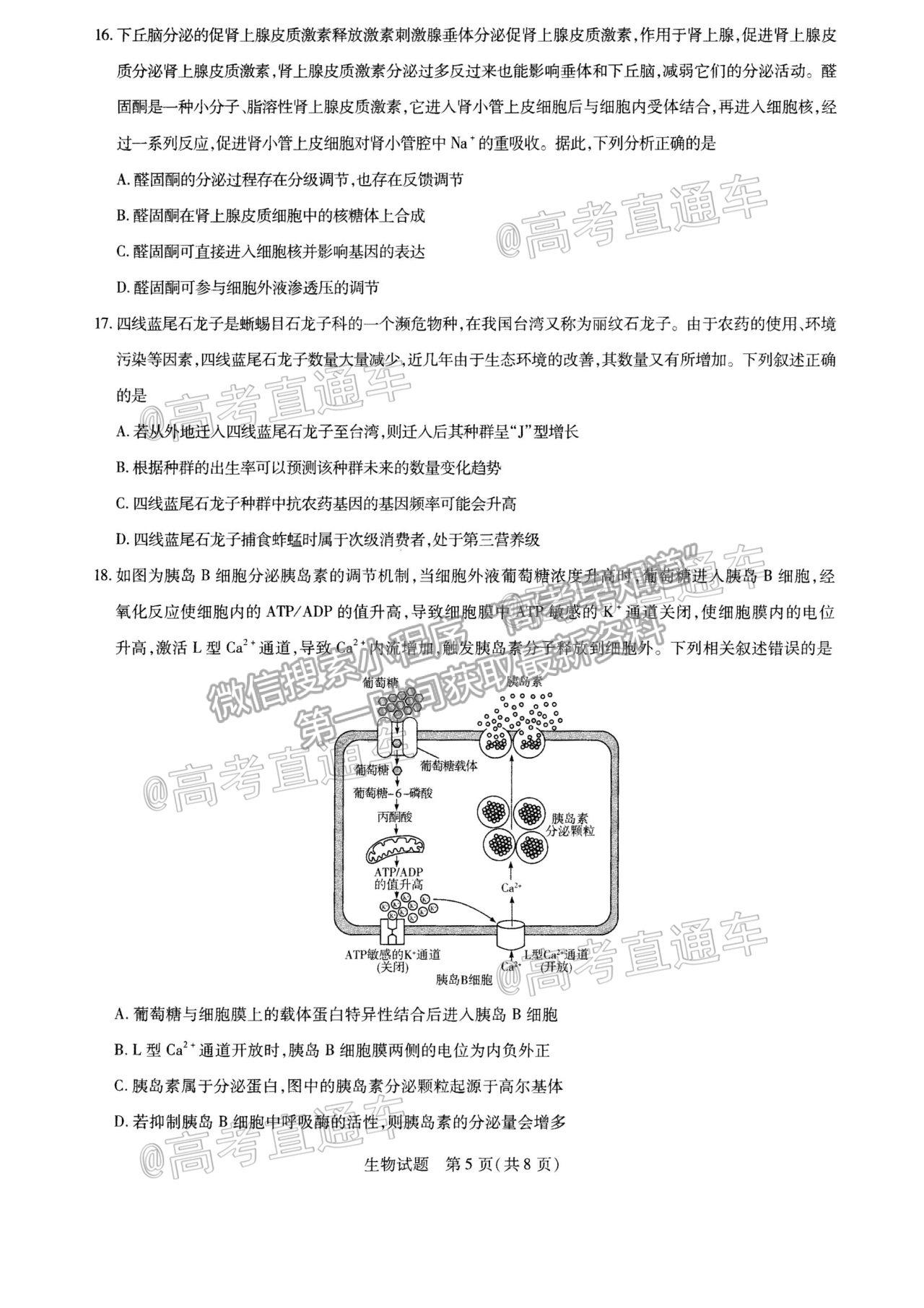 2021邯鄲二模生物試題及參考答案