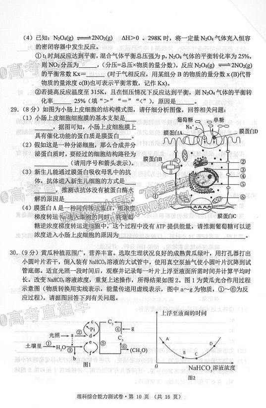 2021安徽黃山4月二模理綜試題及參考答案