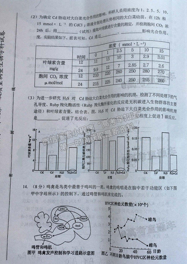 2021湖南婁底高考仿真模擬考試生物試題及參考答案