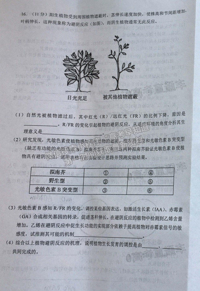 2021湖南婁底高考仿真模擬考試生物試題及參考答案