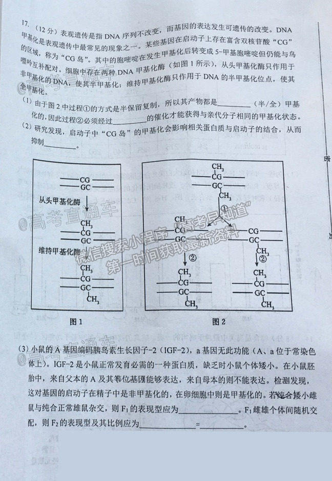 2021湖南婁底高考仿真模擬考試生物試題及參考答案