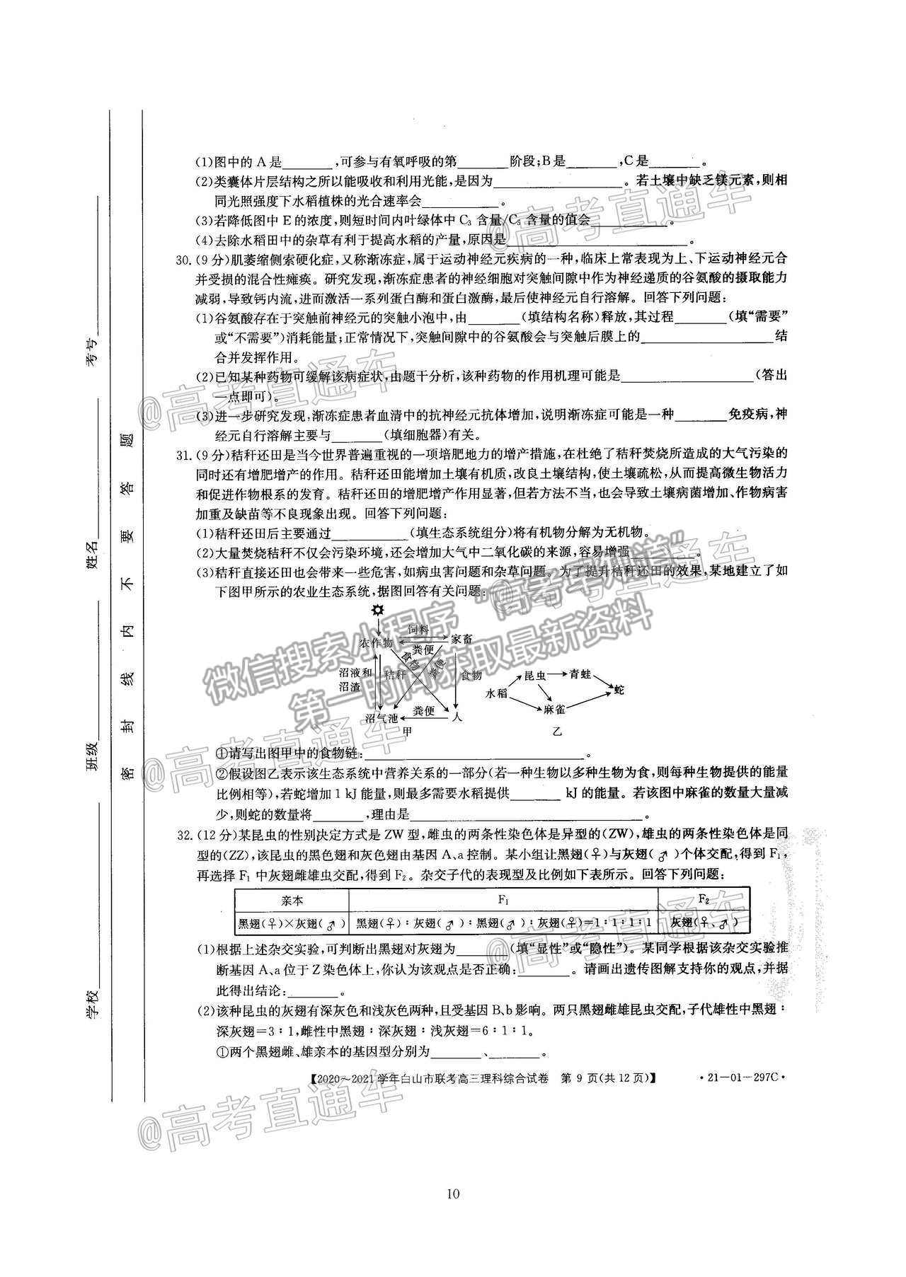 2021吉林白山高三4月聯(lián)考理綜試題及參考答案