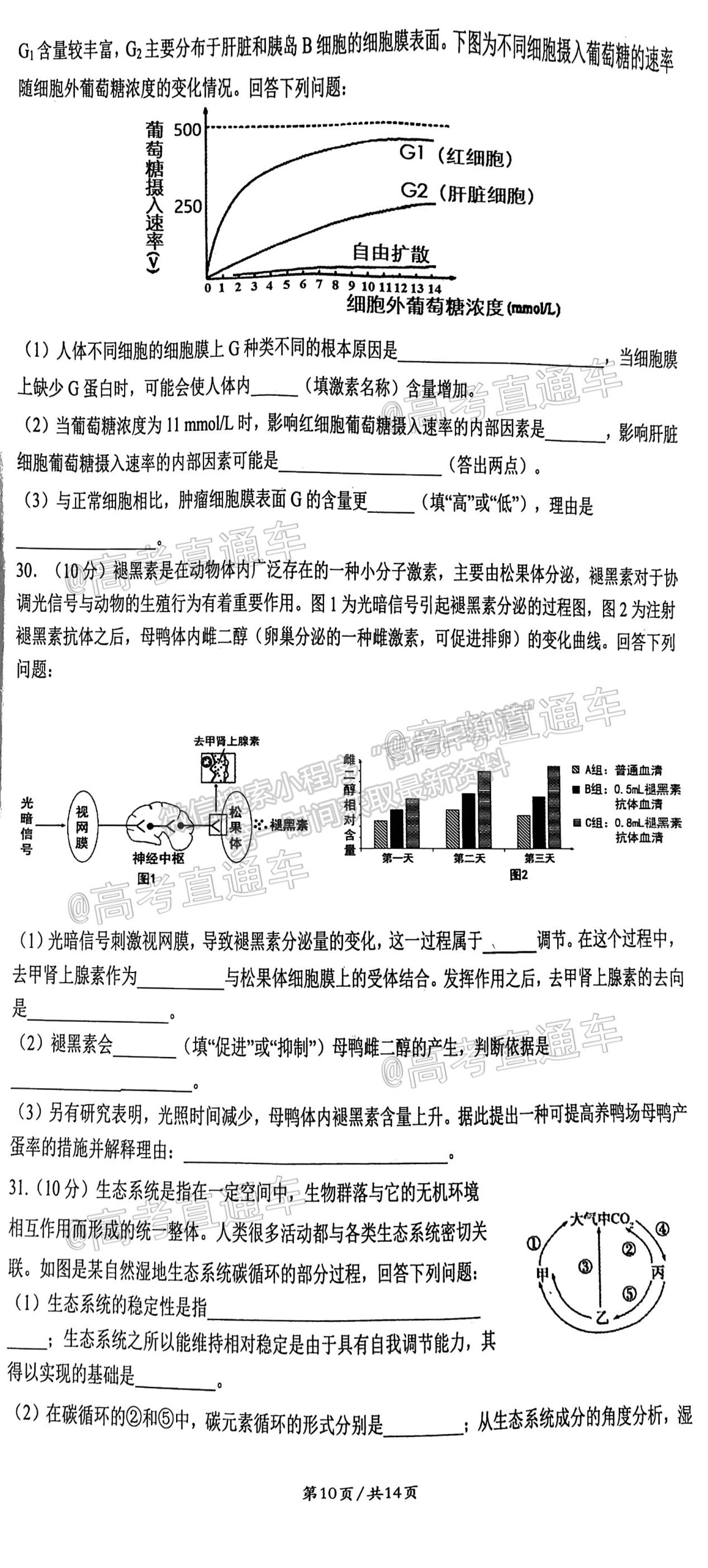 2021成都石室中學高三三診模擬考試理綜試題及參考答案