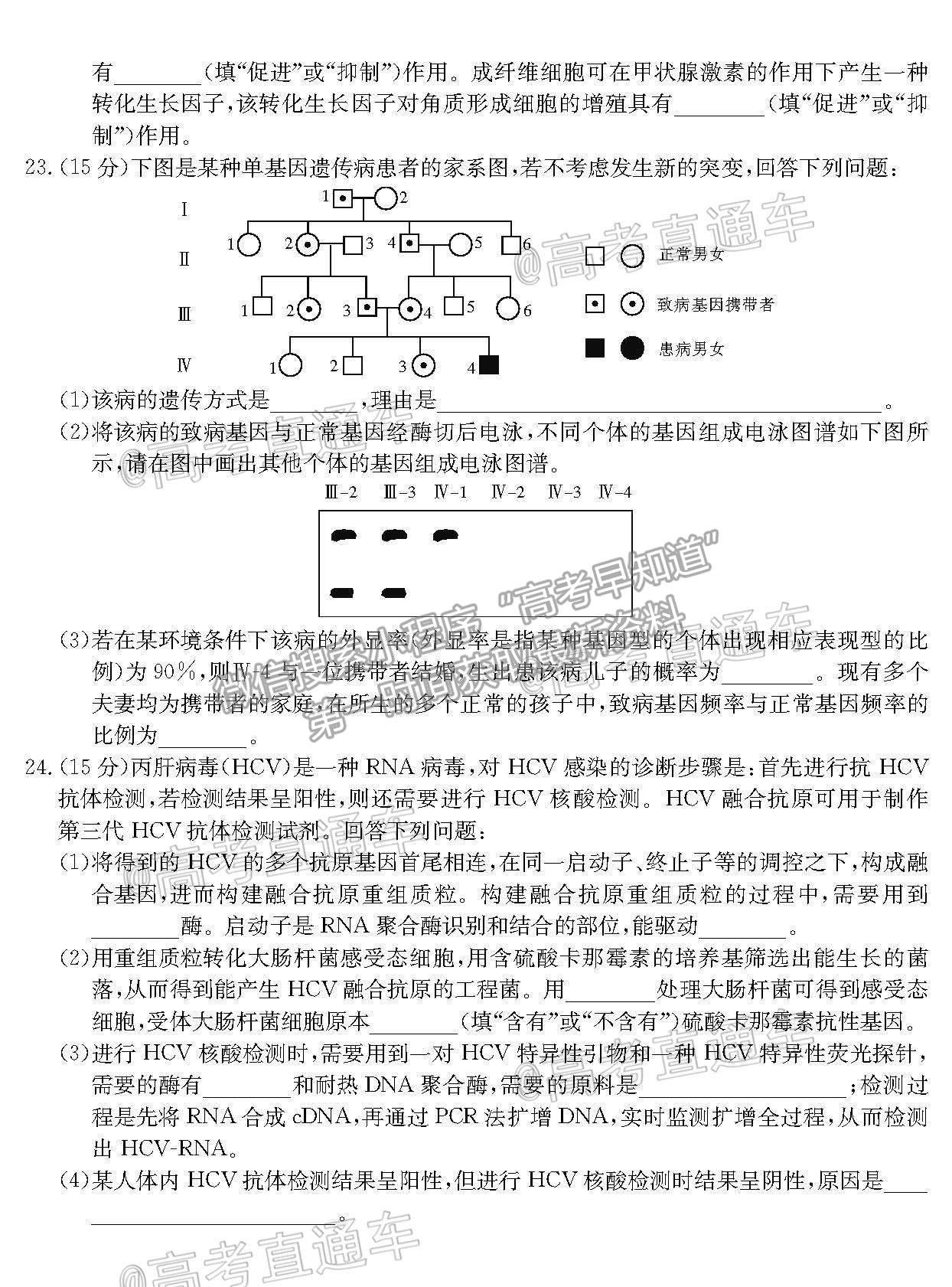 2021湖北十堰高三4月調(diào)研考生物試題及參考答案