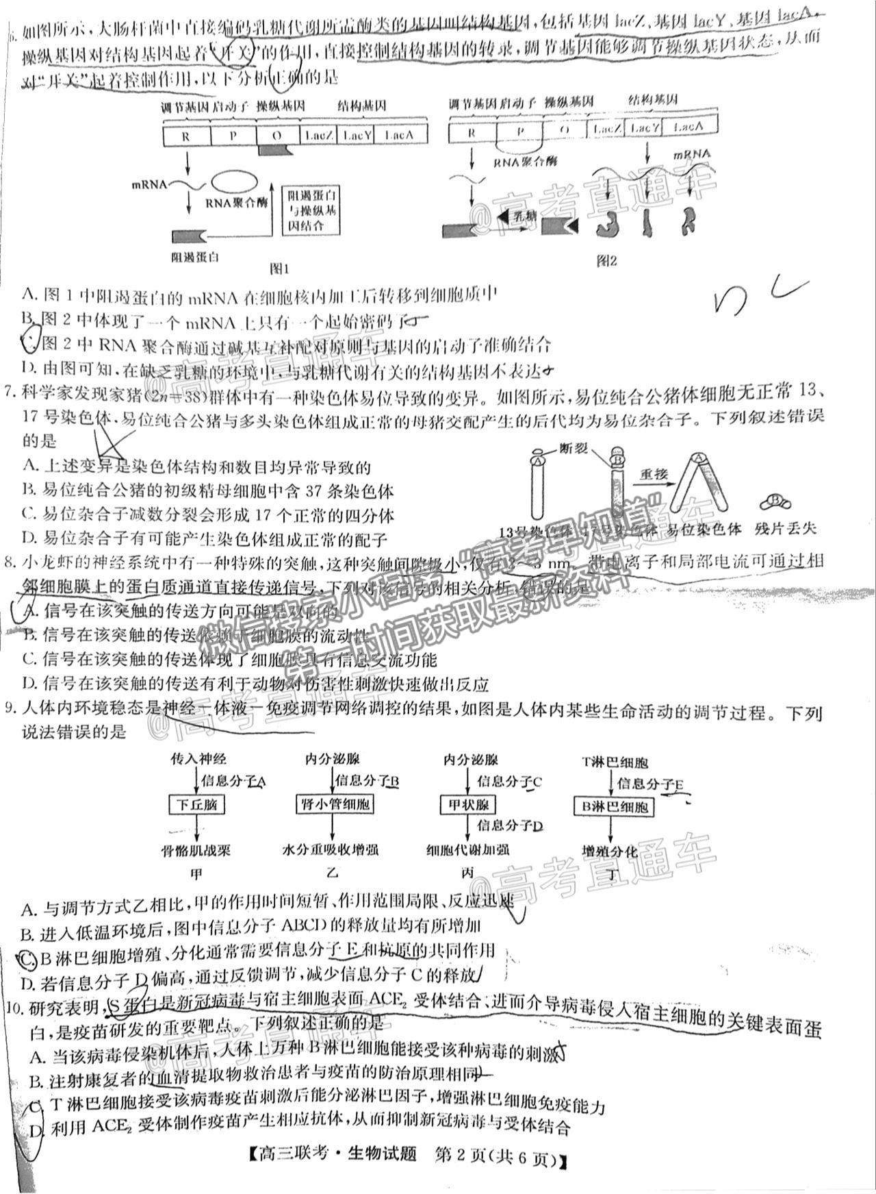 2021菏澤二模生物試題及參考答案