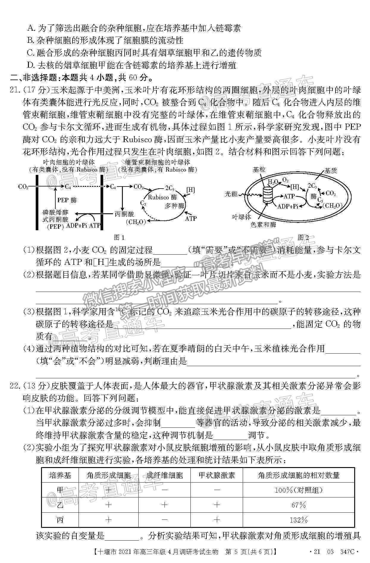 2021湖北十堰高三4月調(diào)研考生物試題及參考答案