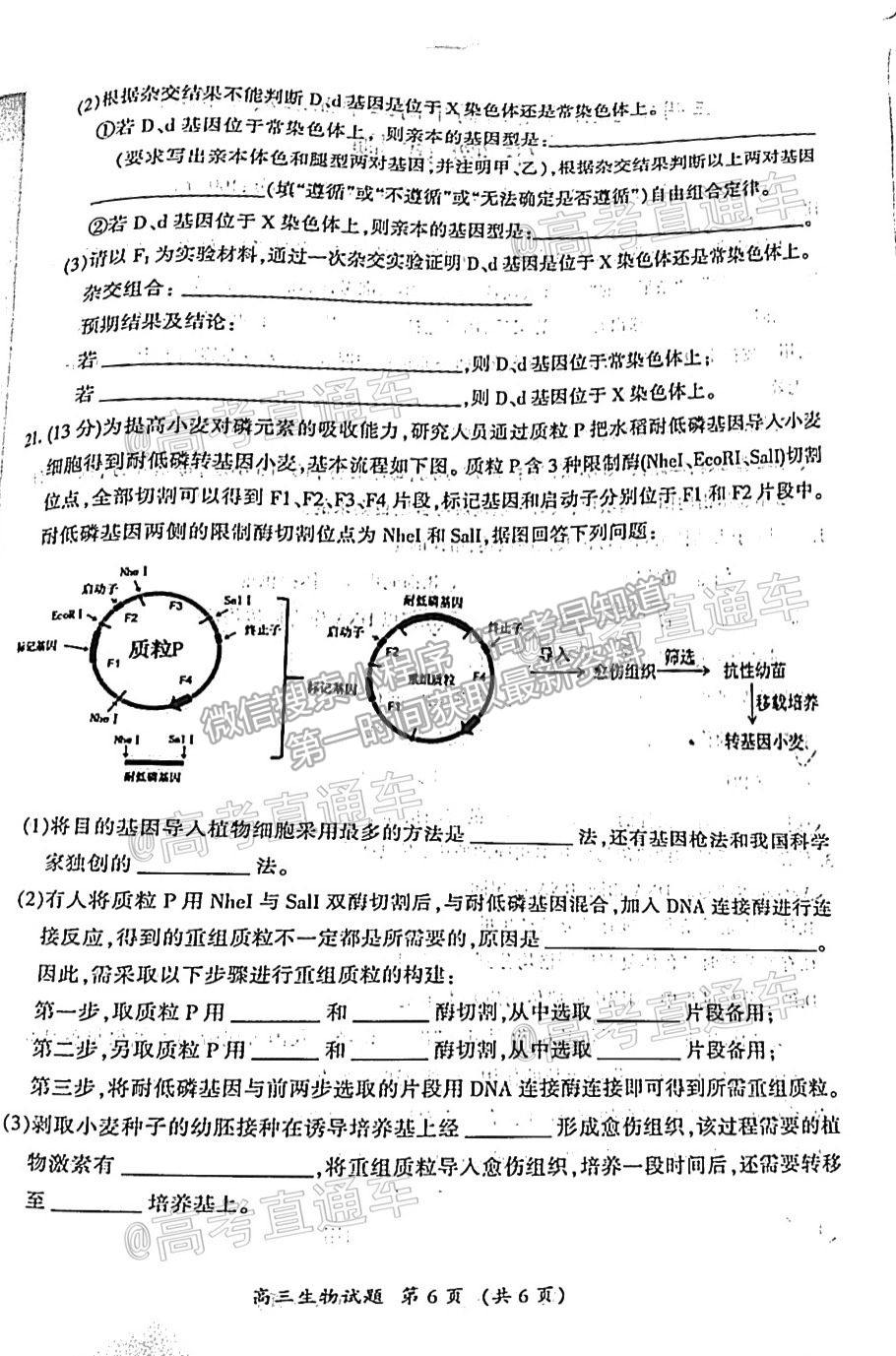 2021三明三檢生物試題及參考答案