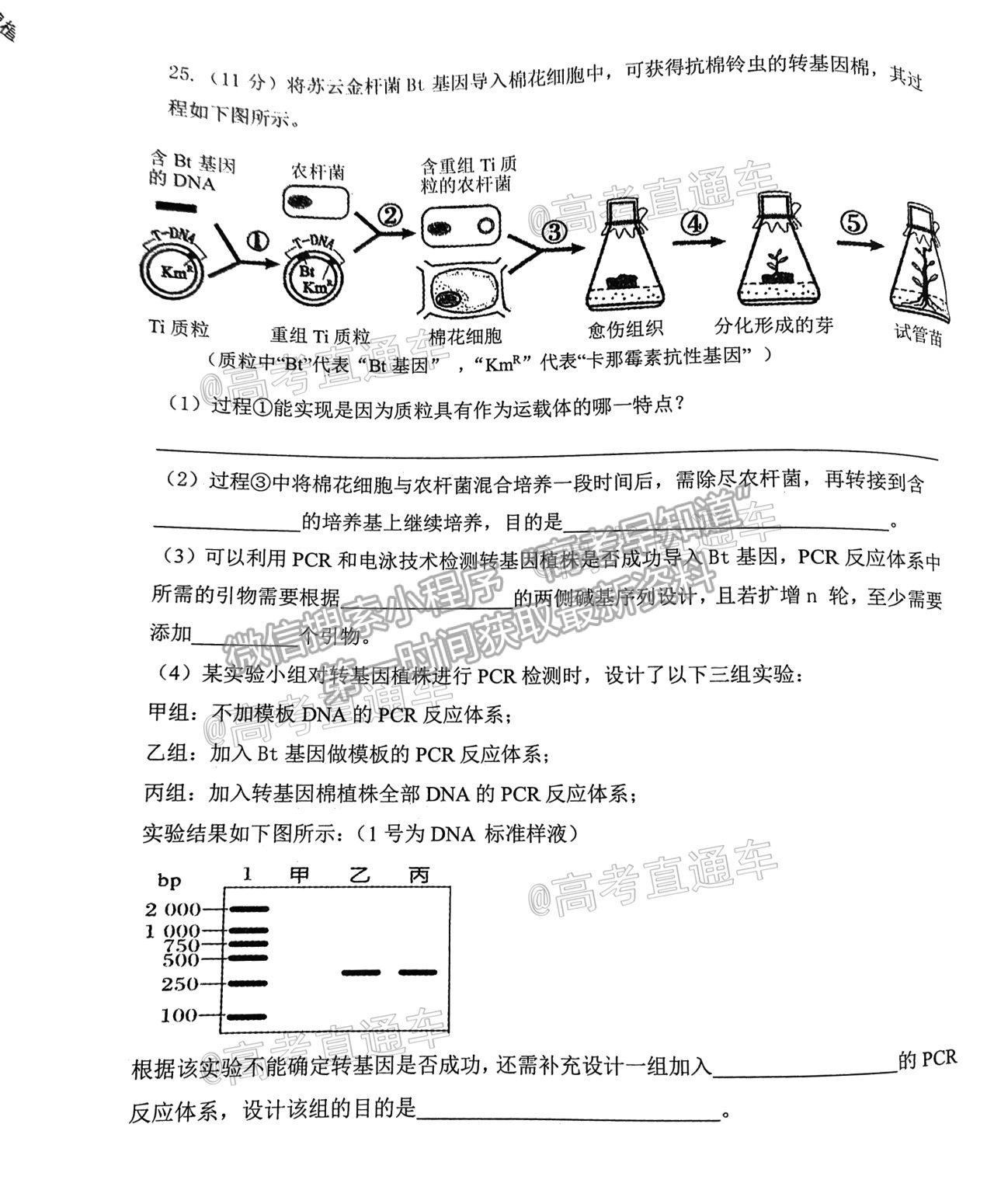 2021遼寧部分重點高中協(xié)作體高三模擬考生物試題及參考答案