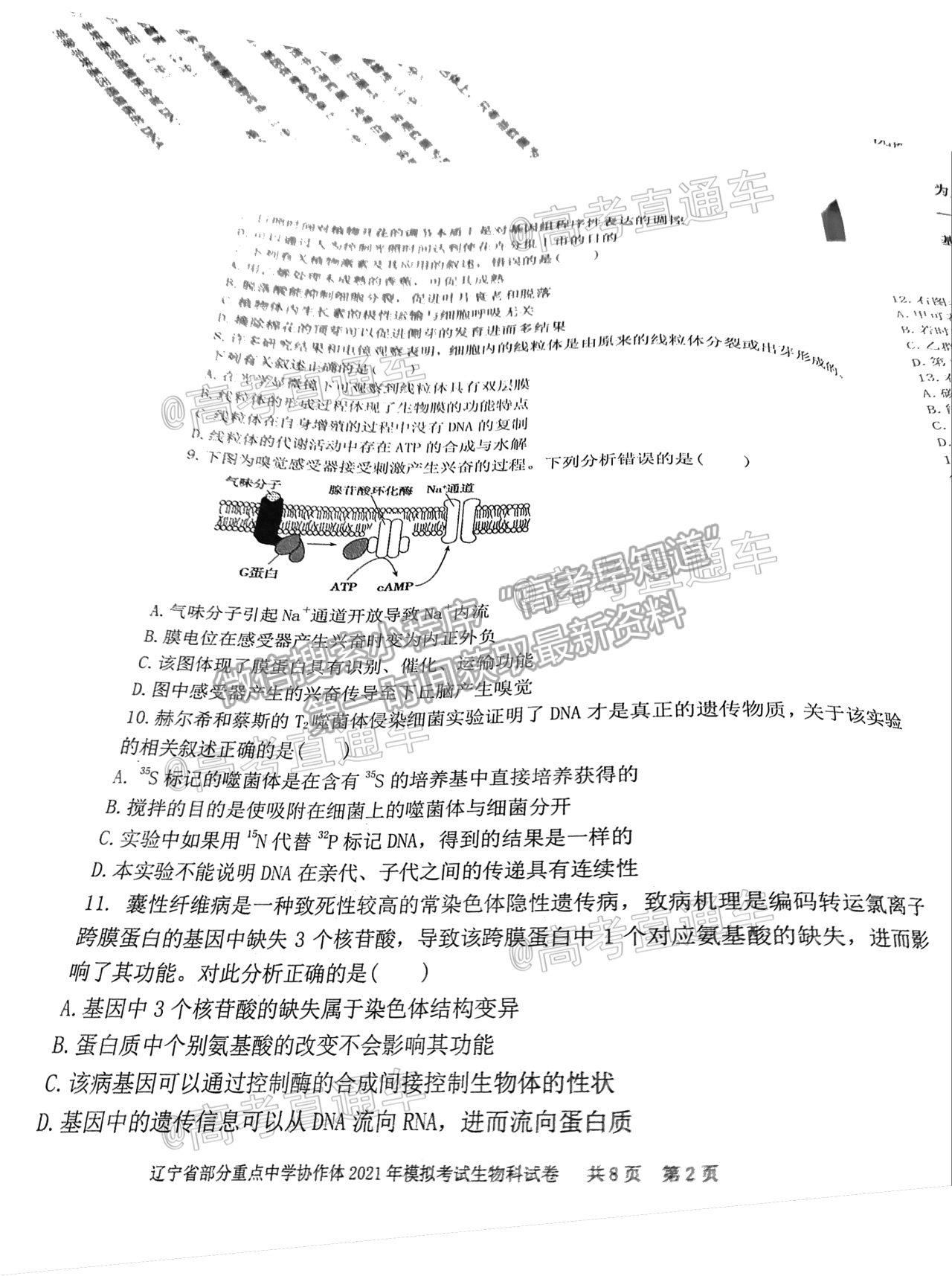 2021遼寧部分重點(diǎn)高中協(xié)作體高三模擬考生物試題及參考答案