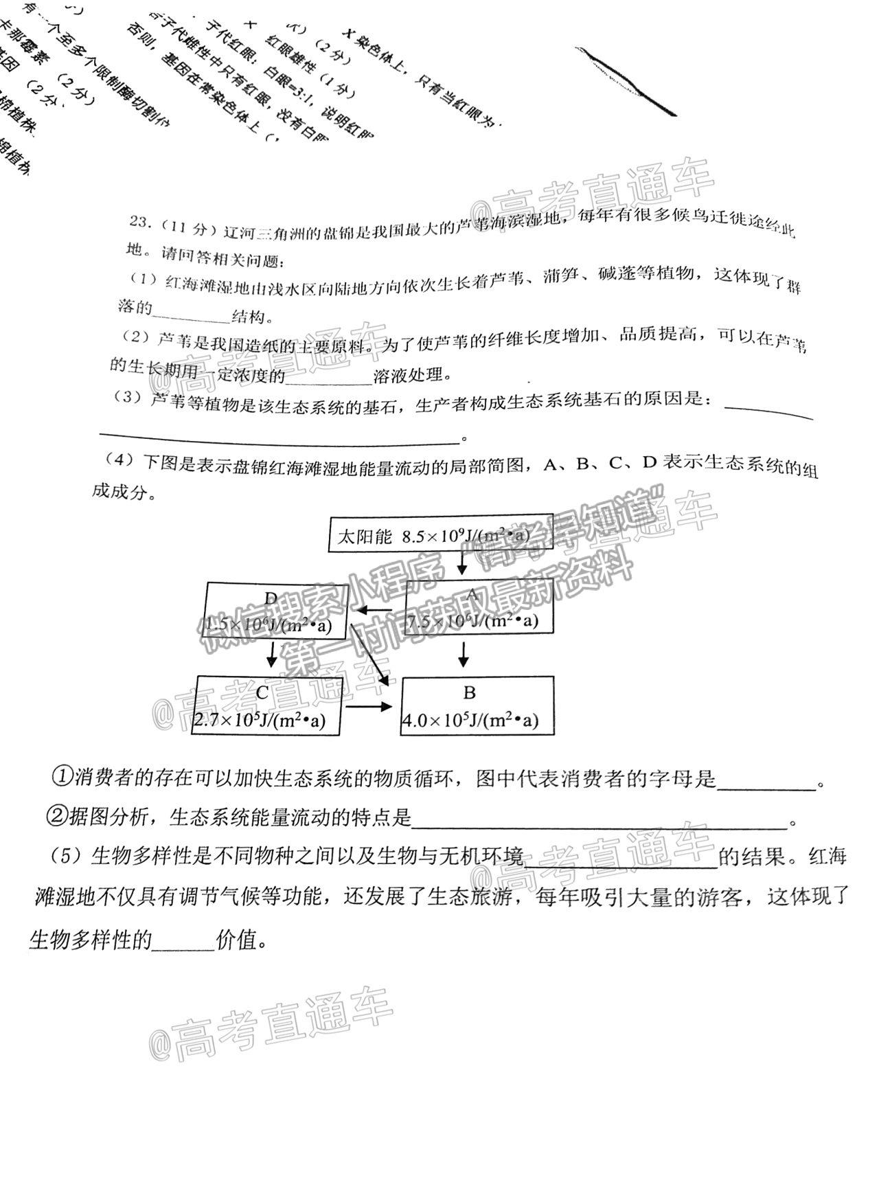 2021遼寧部分重點(diǎn)高中協(xié)作體高三模擬考生物試題及參考答案