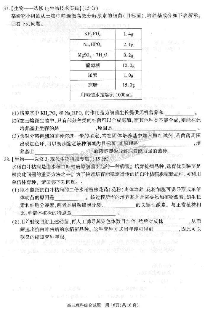 2021合肥三模理綜試題及參考答案