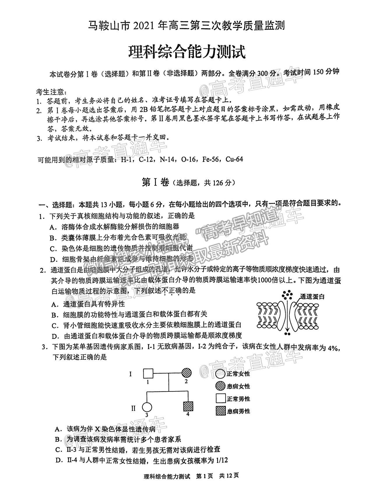 2021馬鞍山三模理綜試題及參考答案