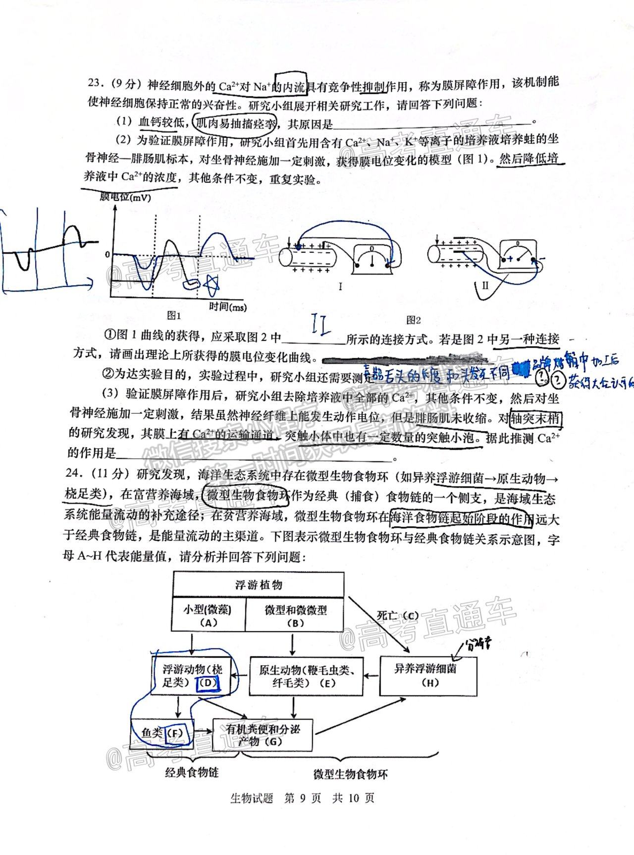 2021青島二模生物試題及參考答案