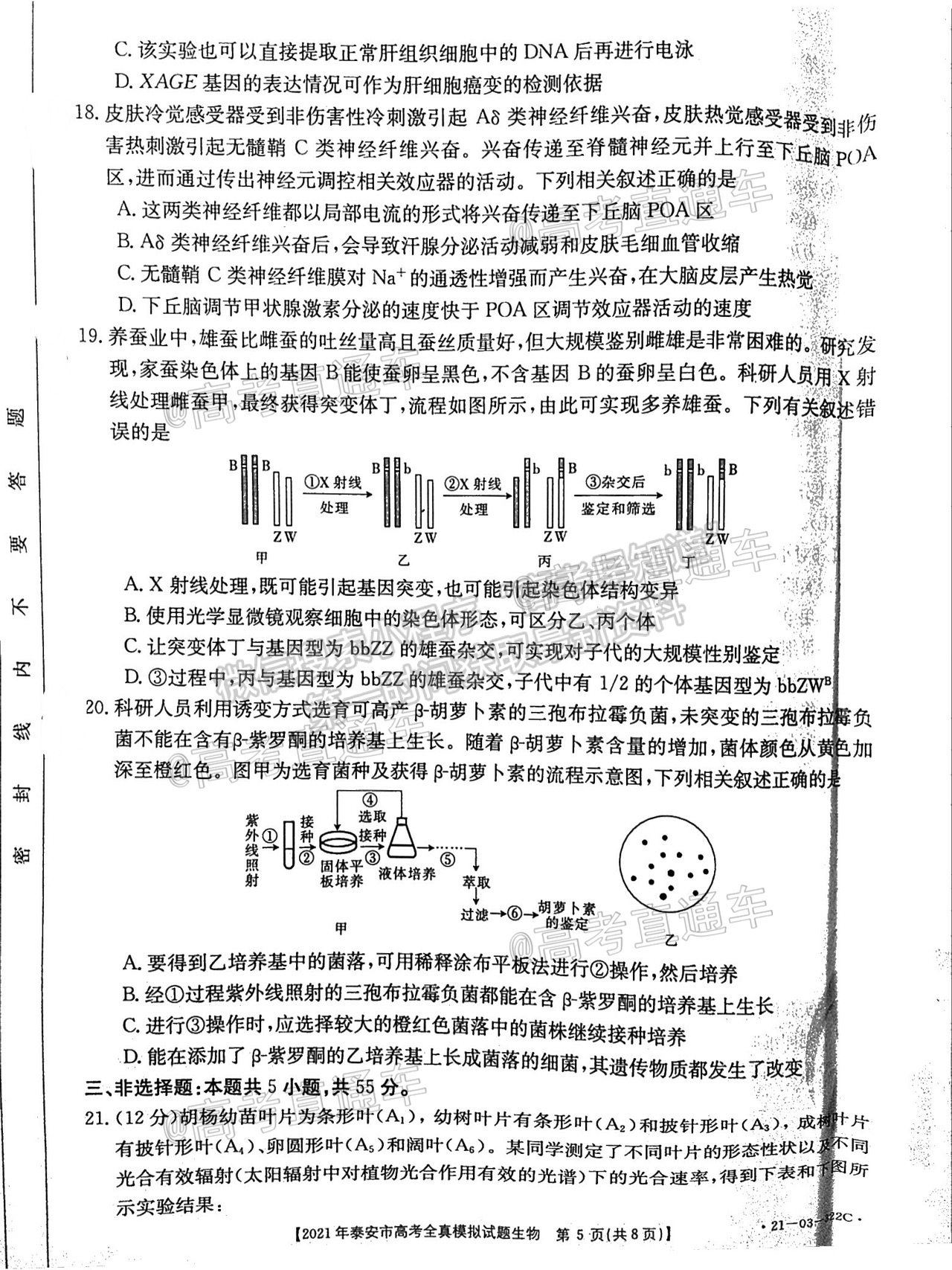 2021泰安三模生物試題及參考答案