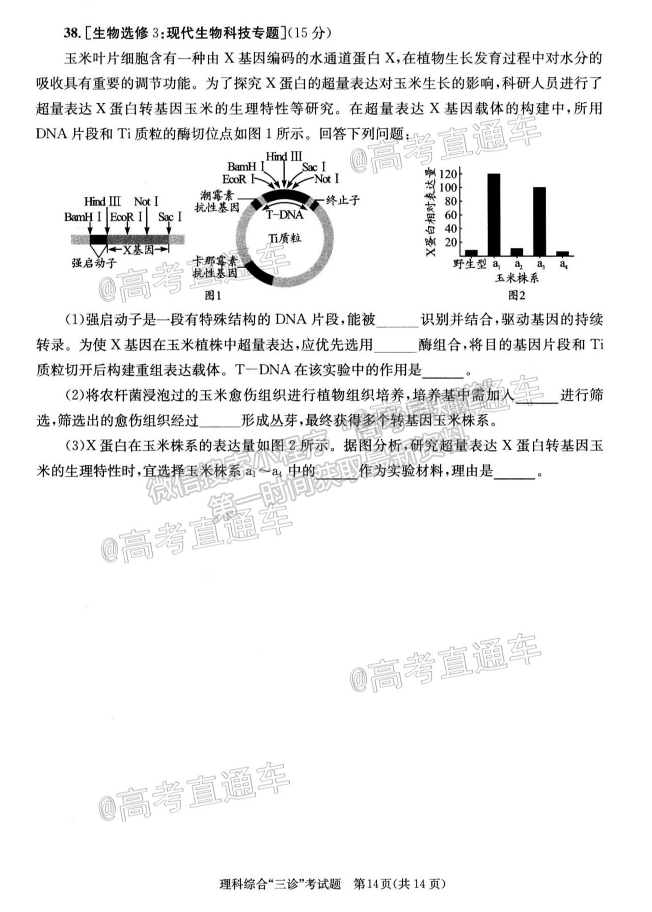 2021成都三診理綜試題及參考答案