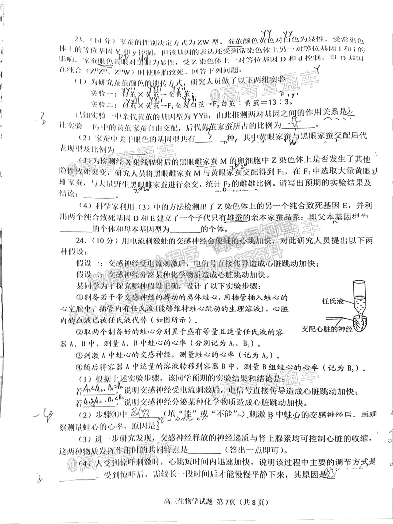 2021日照二模生物試題及參考答案