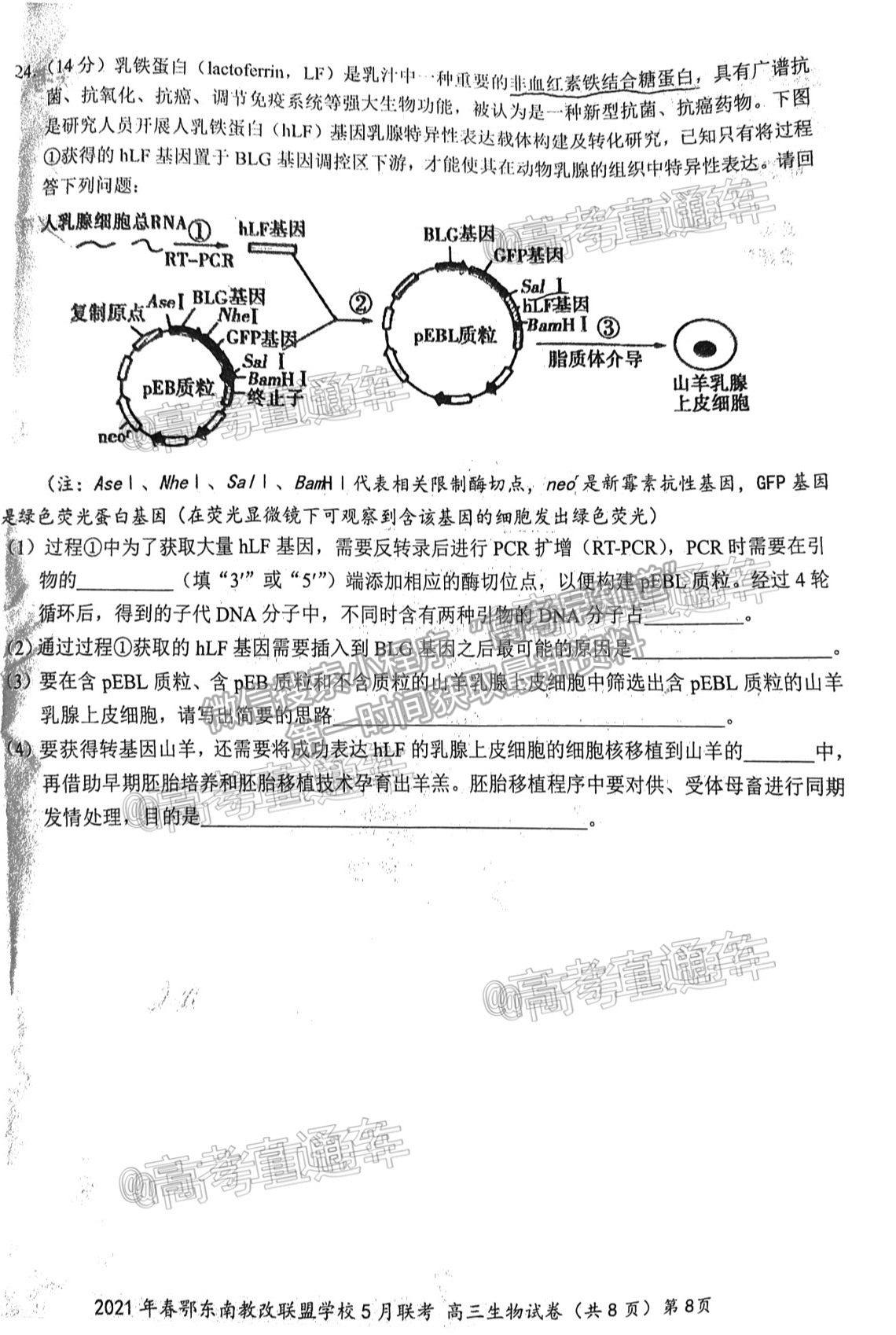 2021鄂東南高三5月聯(lián)考生物試題及參考答案