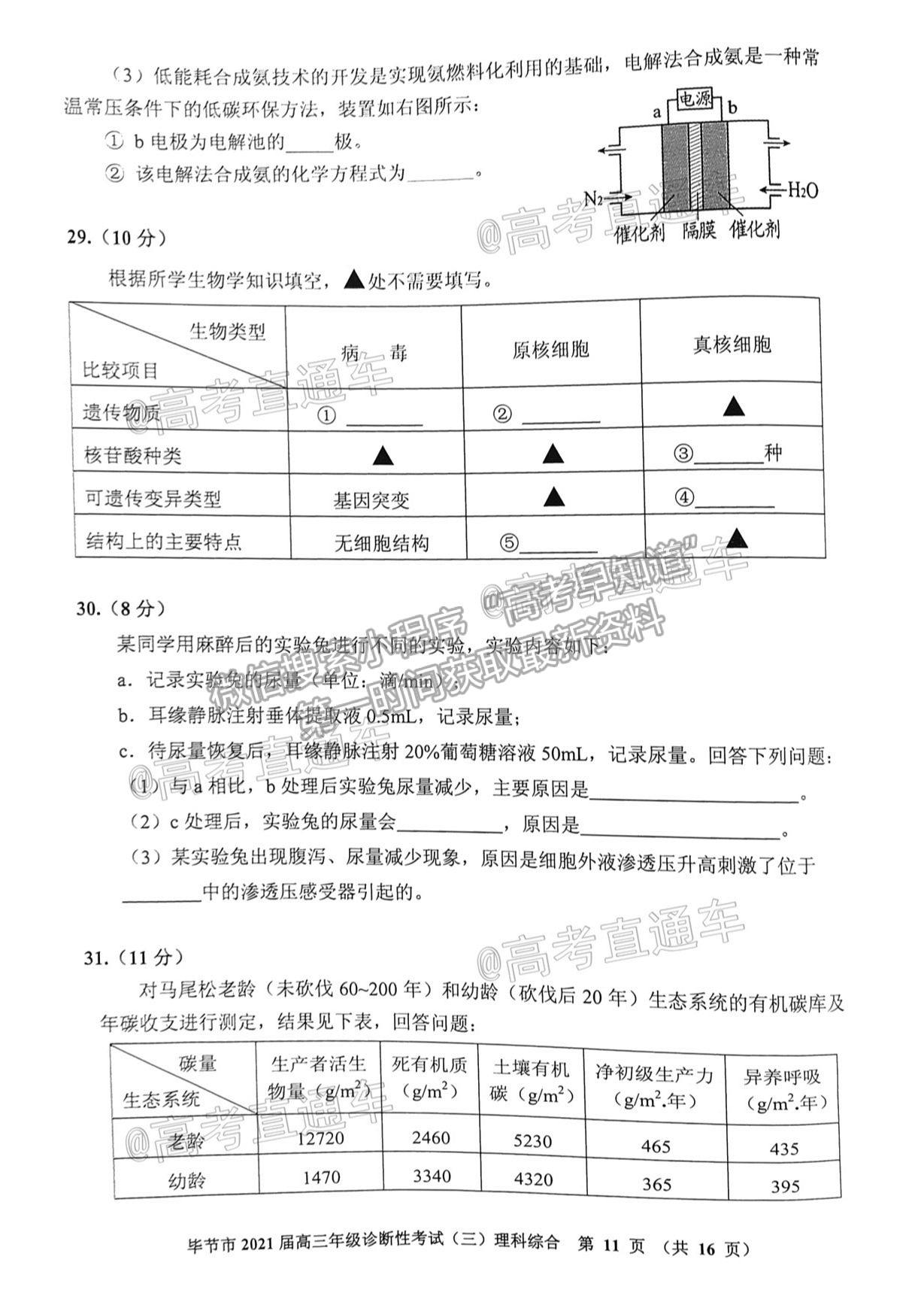 2021畢節(jié)三診理綜試題及參考答案