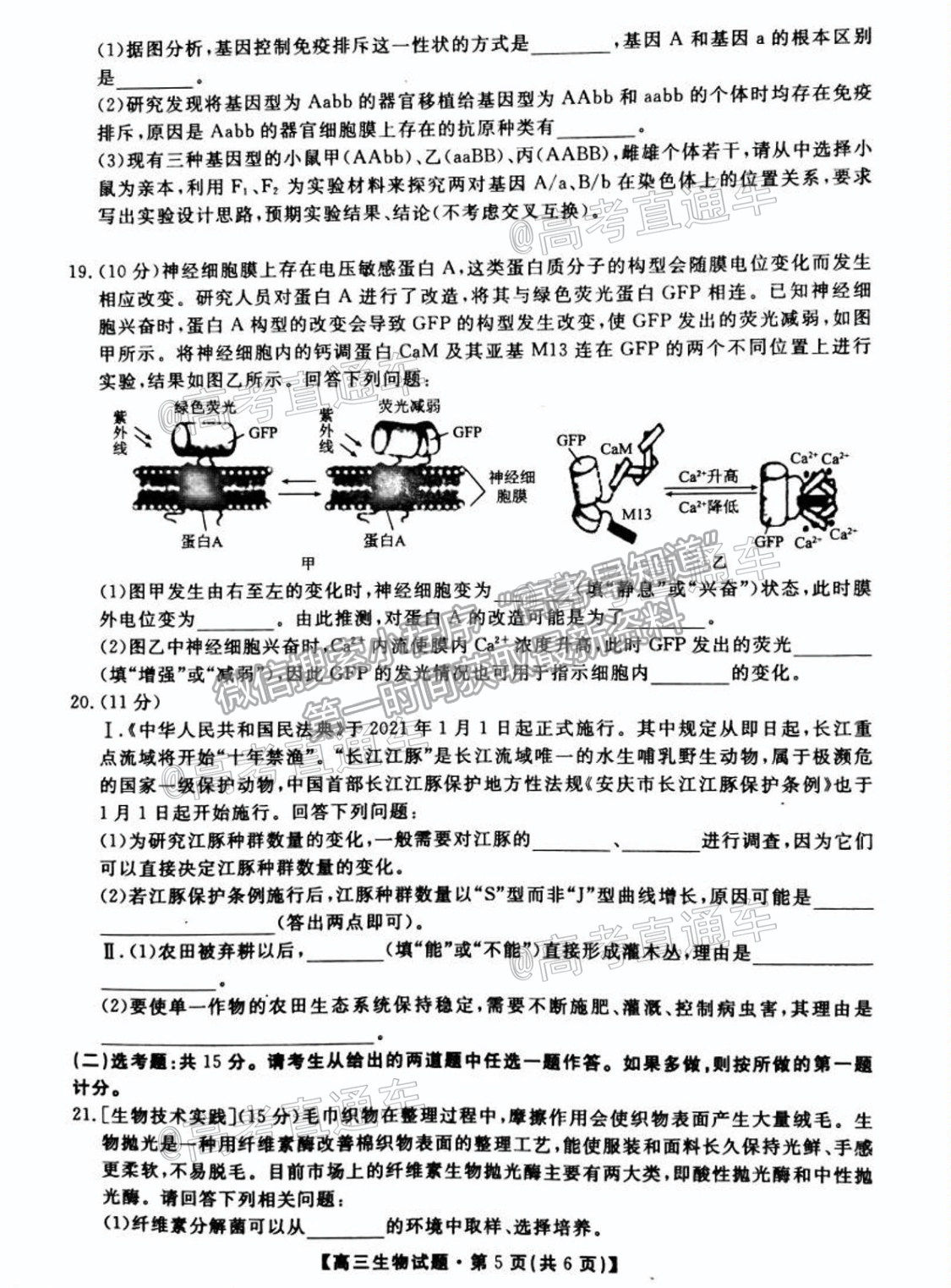 2021湖南五市十校高三5月聯(lián)考生物試題及參考答案