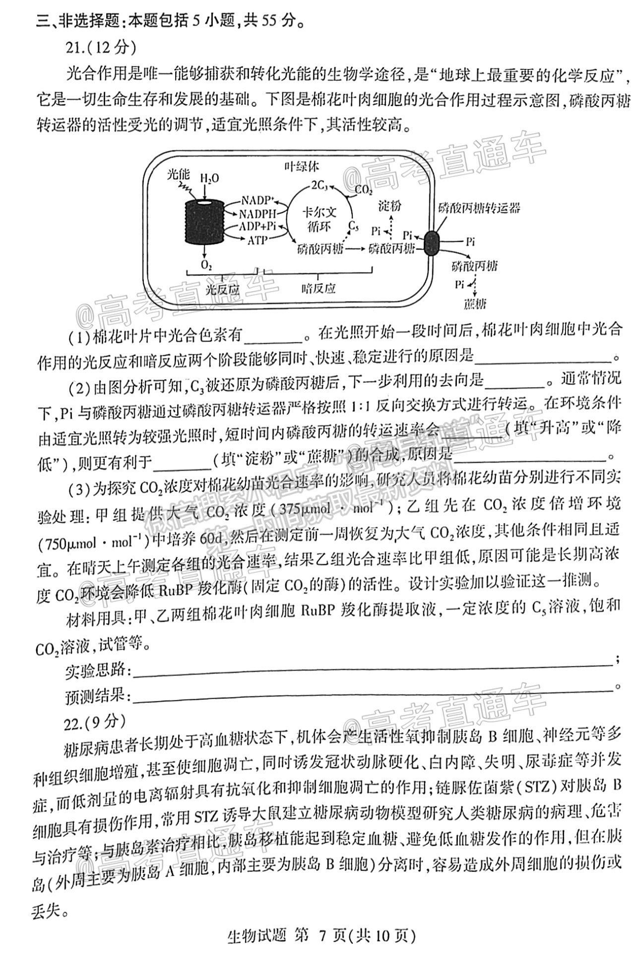 2021棗莊三調(diào) 試卷及參考答案 生物