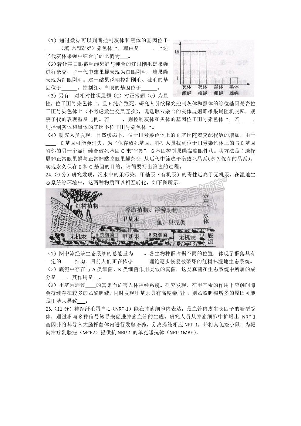 2021煙臺(tái)二模生物試題及參考答案