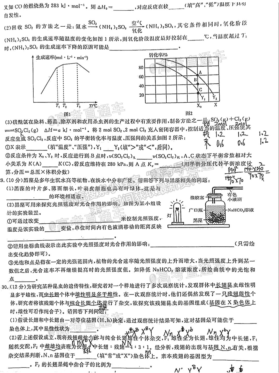 2021百校聯(lián)盟5月聯(lián)考（全國(guó)二卷）理綜試題及參考答案