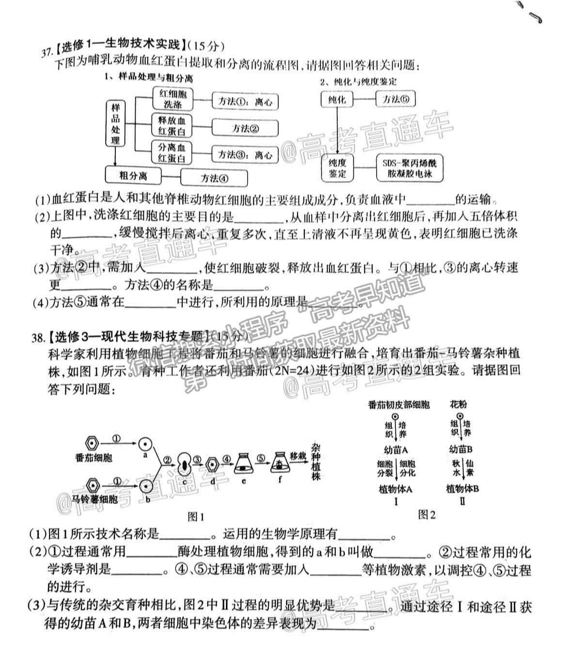 2021新疆維吾爾自治區(qū)第三次診斷性測試理綜試題及參考答案