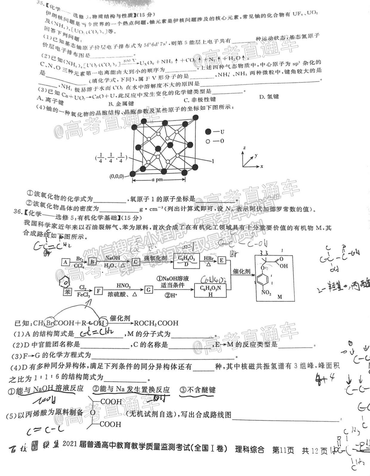 2021百校聯(lián)盟5月聯(lián)考（全國一卷）理綜試題及參考答案