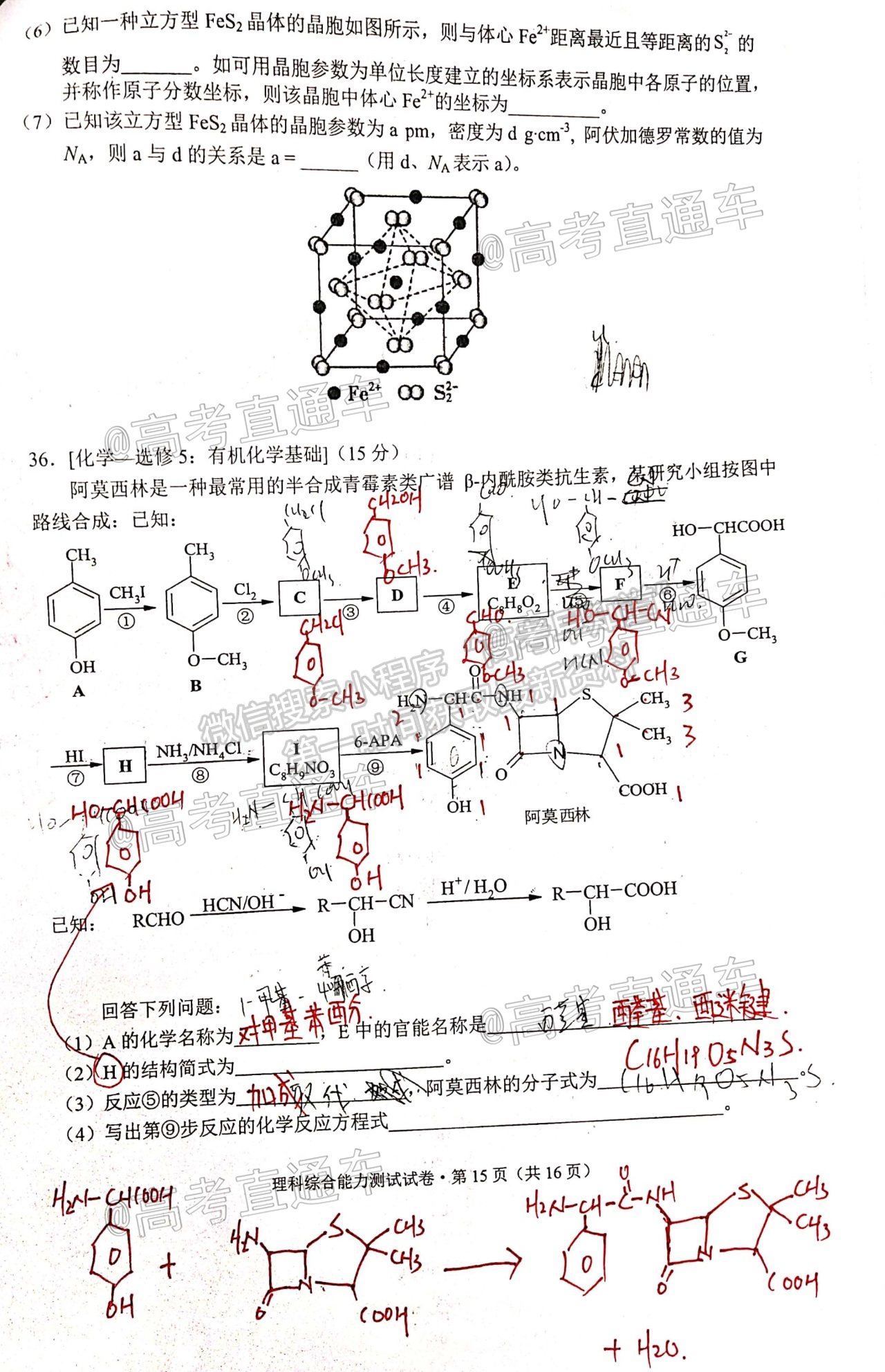 2021紅河州高三5月統(tǒng)測(cè)理綜試題及參考答案