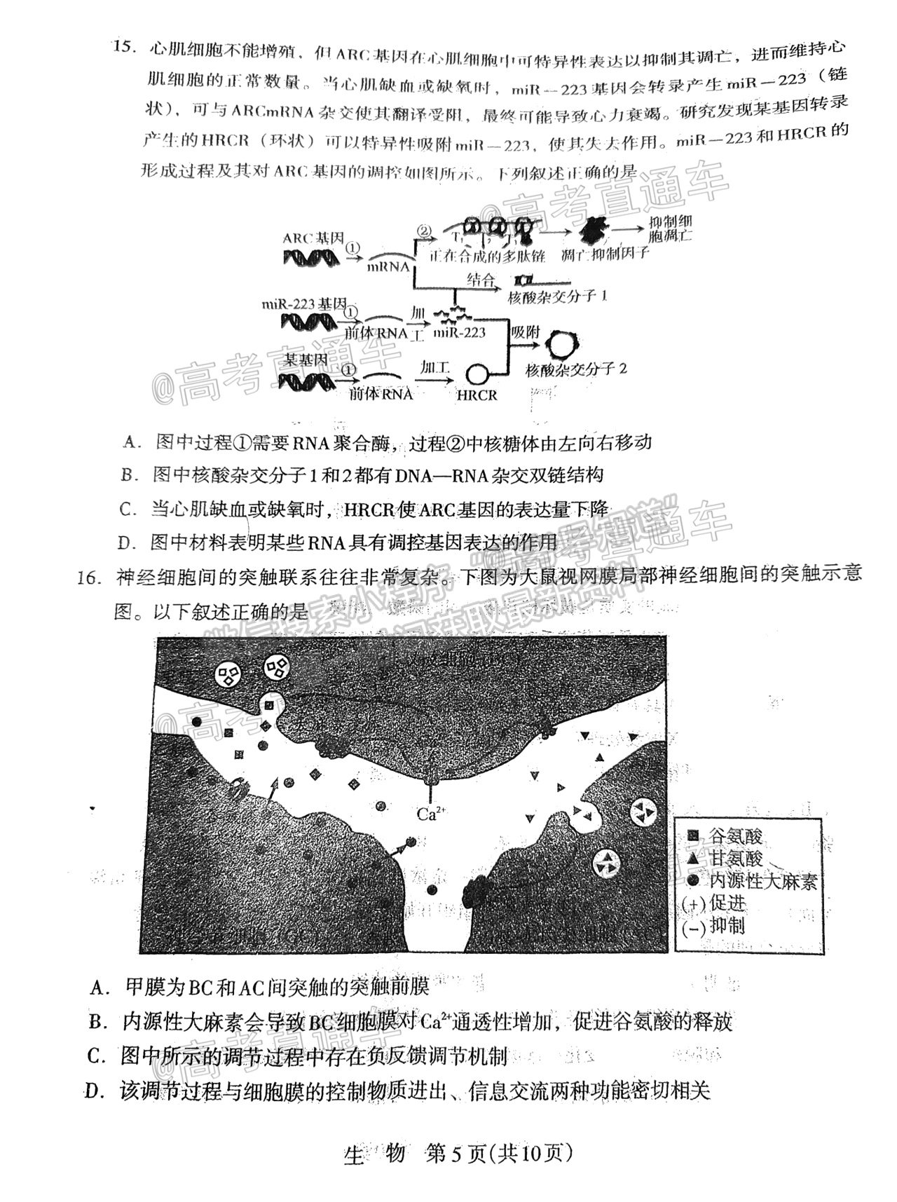 2021石家莊二模生物試題及參考答案