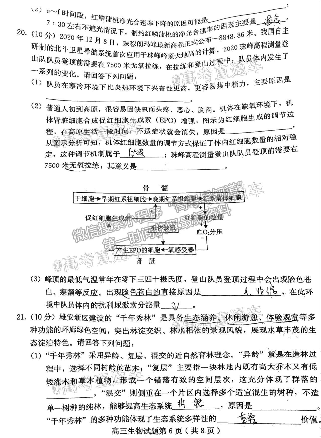 2021保定三模生物試題及參考答案