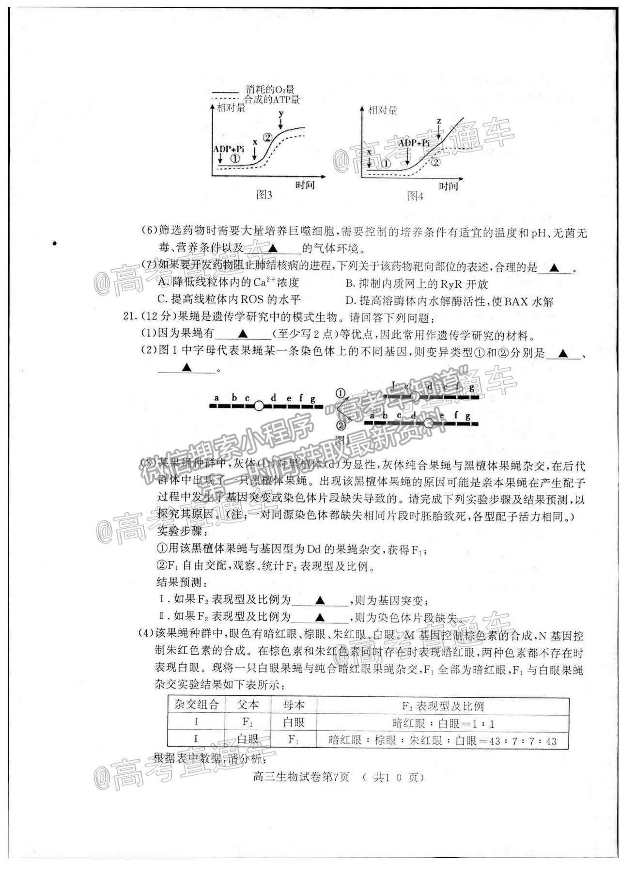 2021南京三模生物試題及參考答案