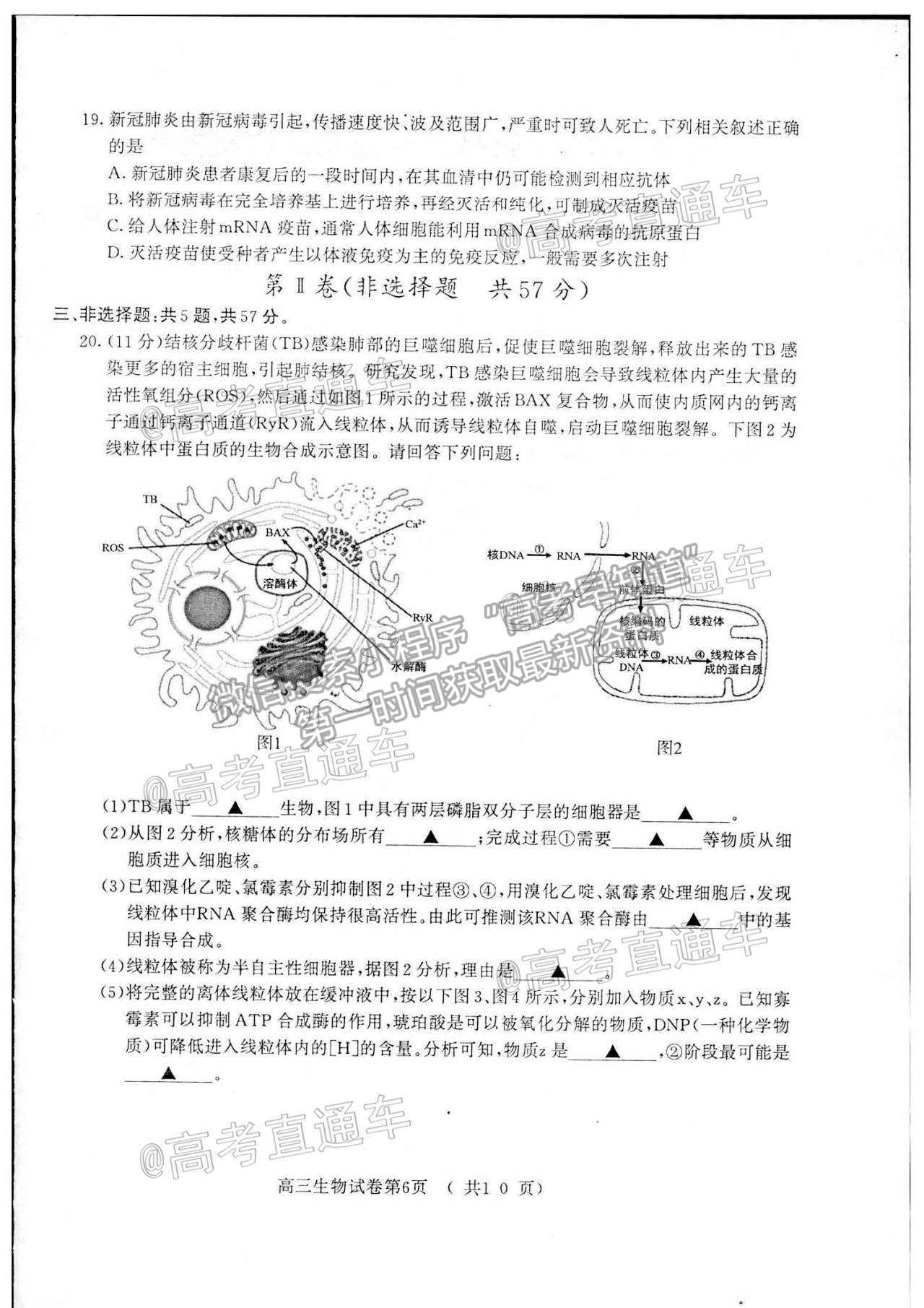 2021南京三模生物試題及參考答案